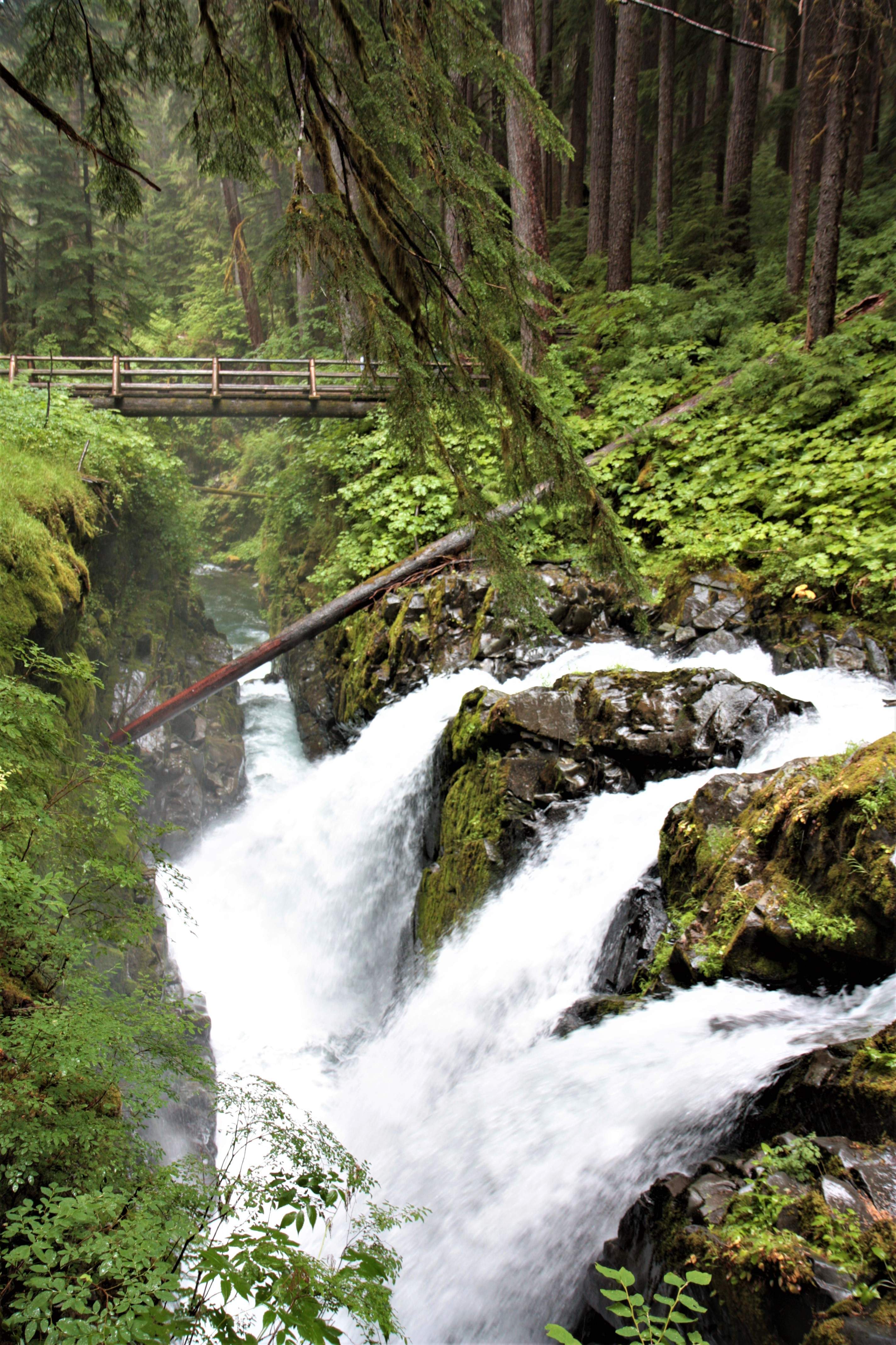 Olympic NP